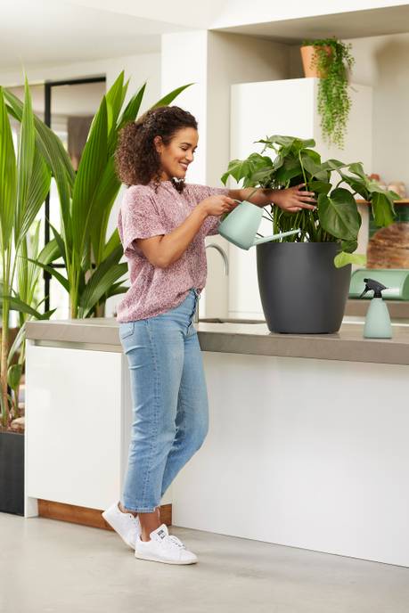 brussels gieter 1,8ltr sorbet groen